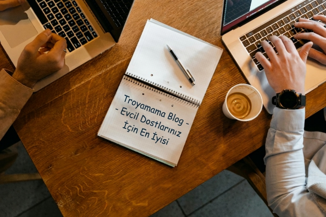 Troyamama Blog Açıldı!