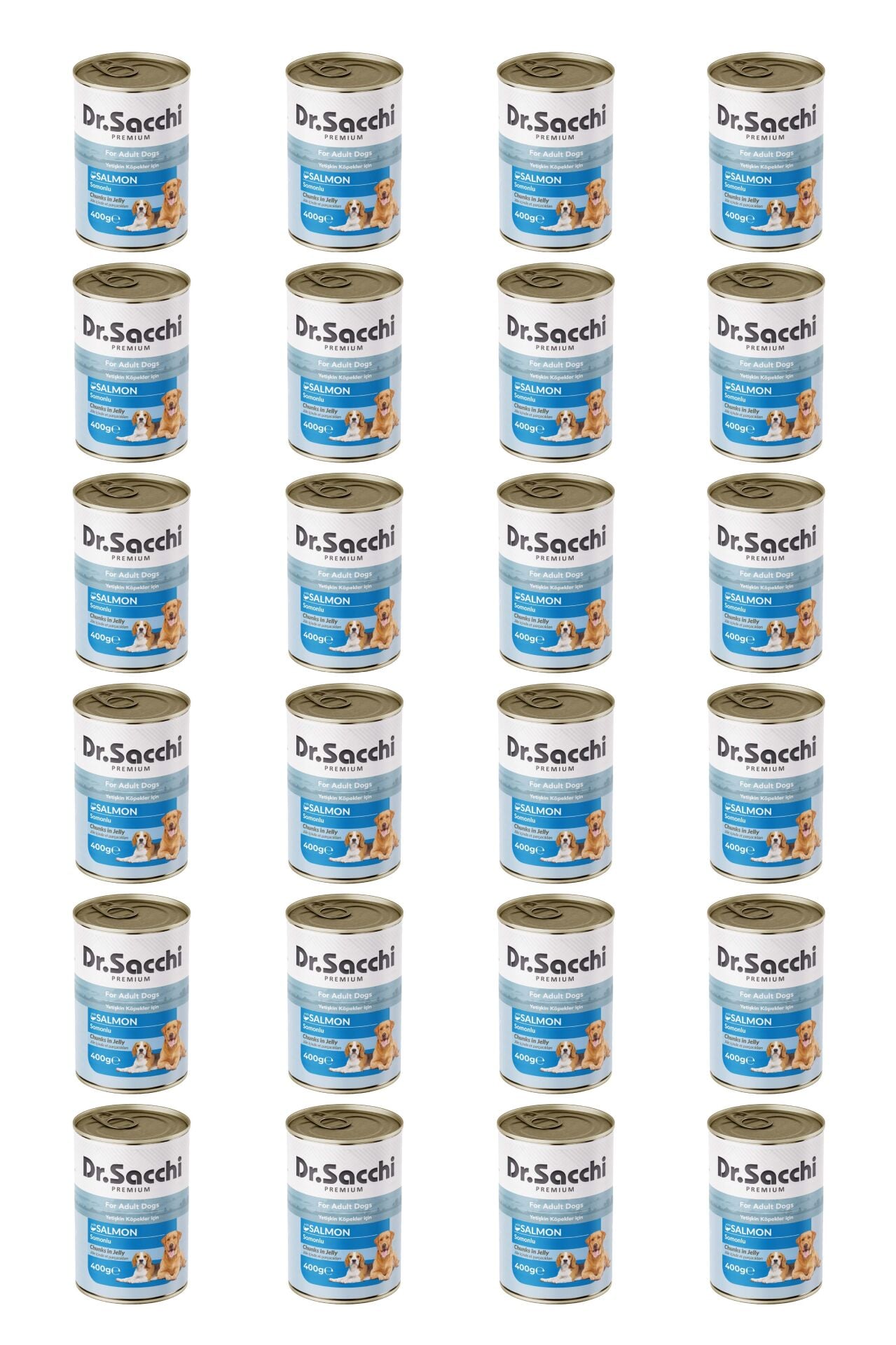 Dr.Sacchi yetişkin köpek-somonlu 400gr x 24 adet