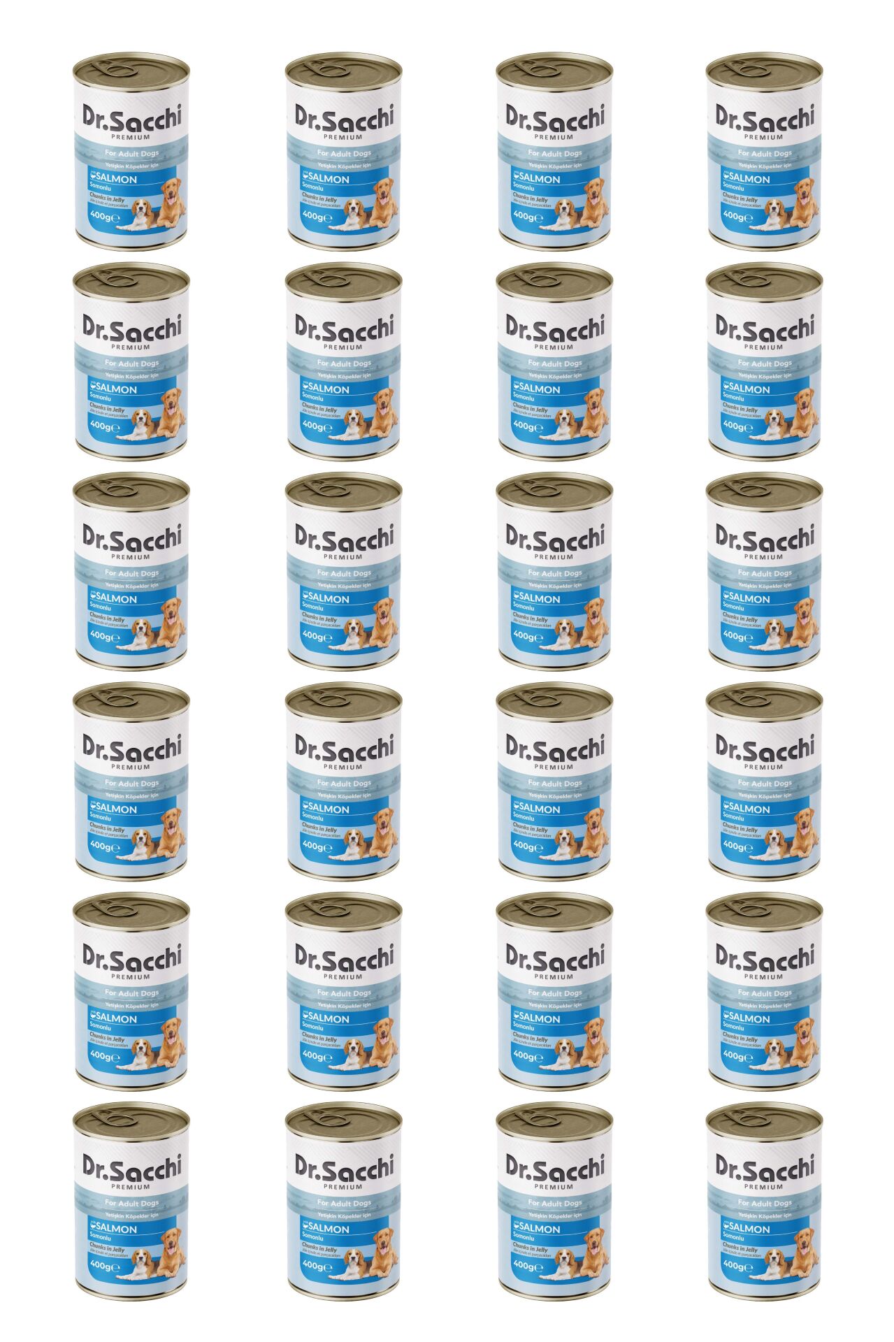 Dr.Sacchi yetişkin köpek-somonlu 400gr x 24 adet