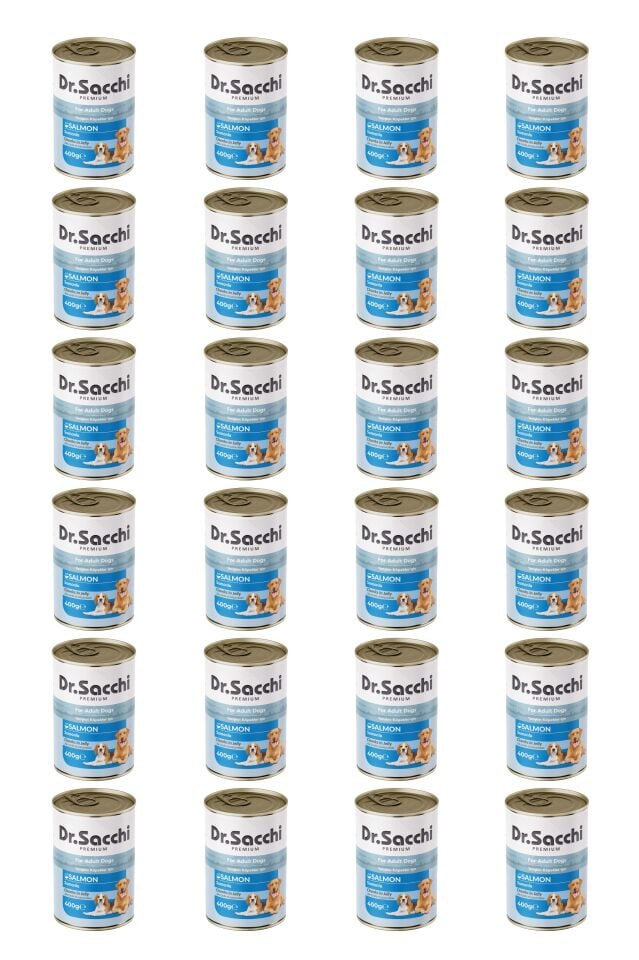 Dr.Sacchi yetişkin köpek-somonlu 400gr x 24 adet