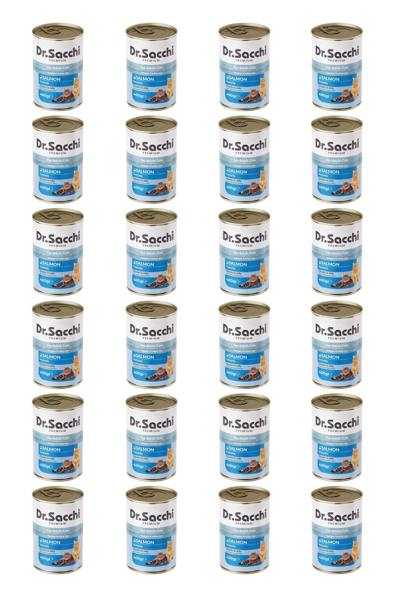 Dr.Sacchi yetişkin kedi-somonlu 400gr x 24 adet
