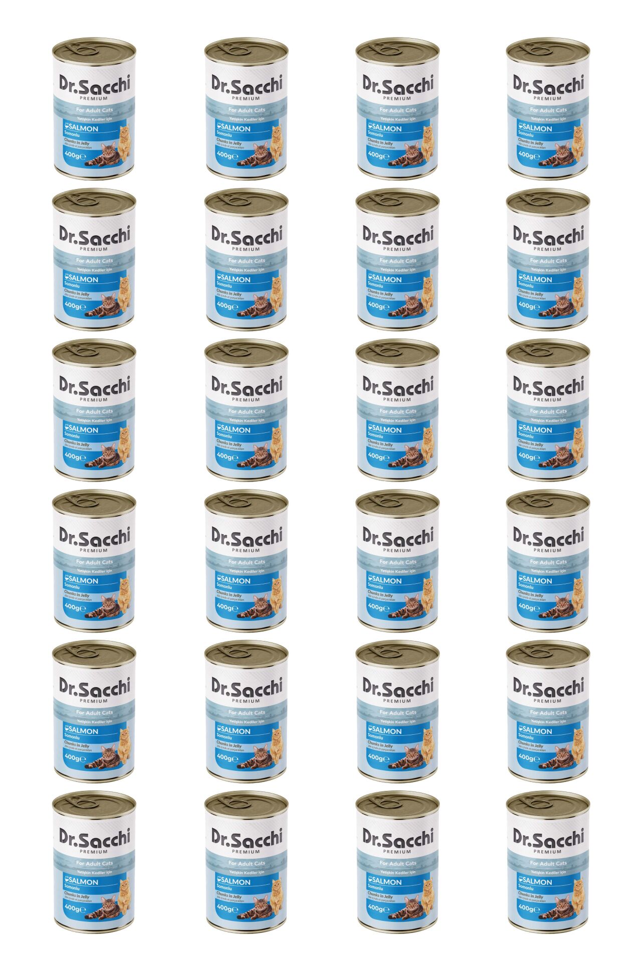Dr.Sacchi yetişkin kedi-somonlu 400gr x 24 adet