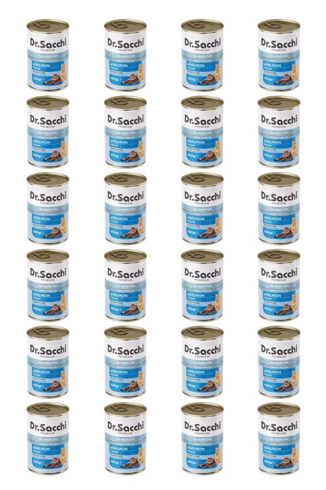Dr.Sacchi yetişkin kedi-somonlu 400gr x 24 adet