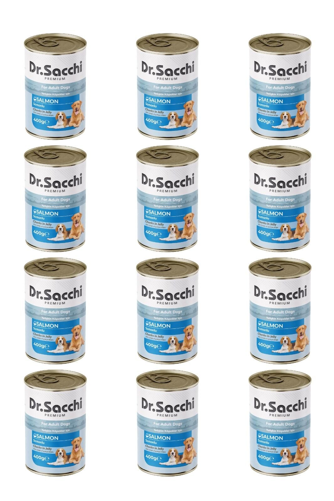 Dr.Sacchi yetişkin köpek-somonlu 400gr x 12 adet