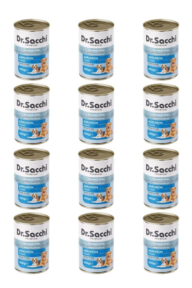 Dr.Sacchi yetişkin köpek-somonlu 400gr x 12 adet