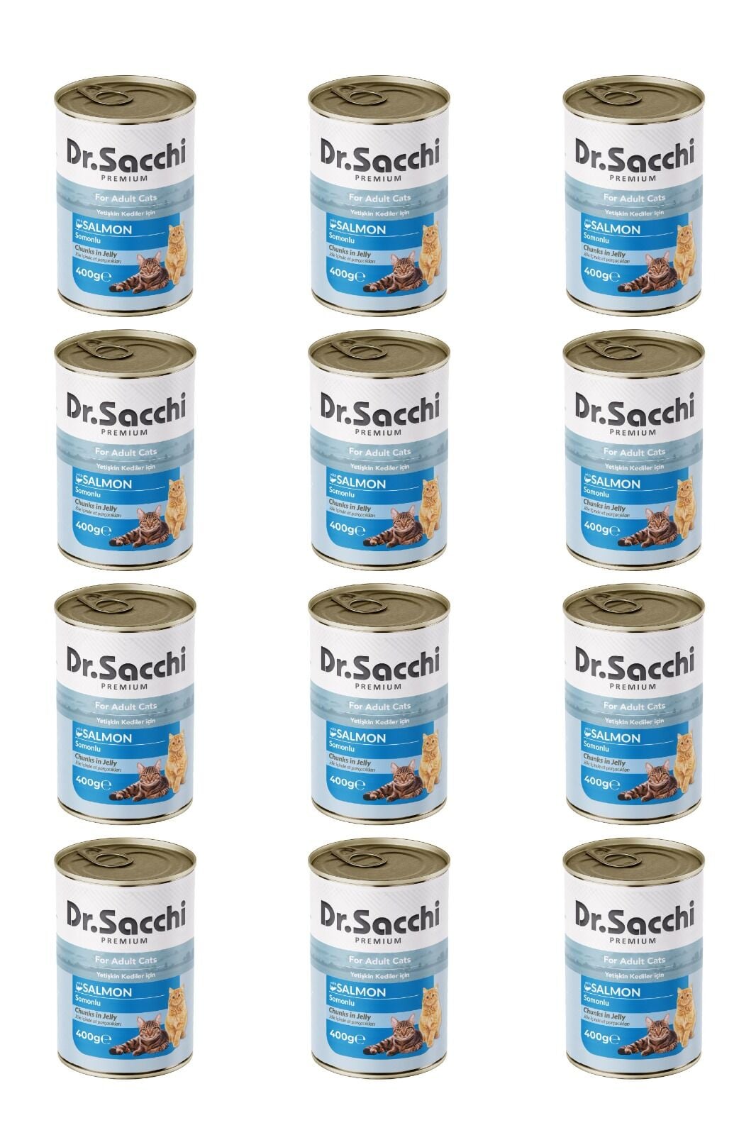 Dr.Sacchi yetişkin kedi-somonlu 400gr x 12 adet